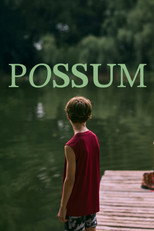 Poster de la película Possum