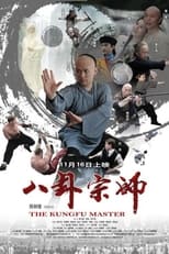 Poster de la película The Kung Fu Master