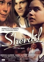Poster de la película Sherdil