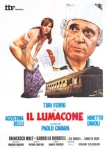 Poster de la película Il lumacone