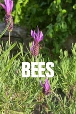 Poster de la película Bees