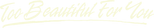 Logo Too Beautiful for You