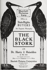 Poster de la película The Black Stork