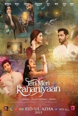 Poster de la película Teri Meri Kahaniyaan