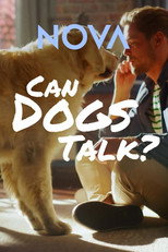Poster de la película Can Dogs Talk?