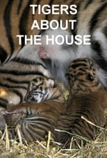 Poster de la serie Tigers About the House