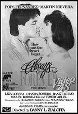 Poster de la película Always and Forever