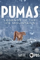 Poster de la película Pumas: Legends of the Ice Mountains