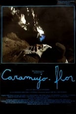 Poster de la película Caramujo-Flor