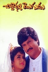 Poster de la película Chittemma Mogudu