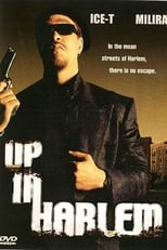 Poster de la película Up in Harlem