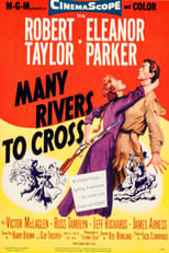 Poster de la película Many Rivers to Cross