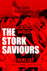 Poster de la película The Stork Saviours