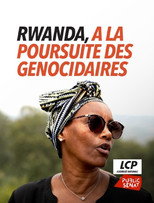 Poster de la película Rwanda, à la poursuite des génocidaires