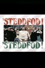 Poster de la película Steddfod! Steddfod!