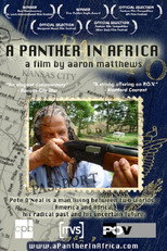 Poster de la película A Panther in Africa