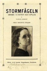 Poster de la película Stormfågeln