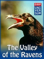 Poster de la película Valley of the Ravens