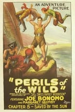 Poster de la película Perils of the Wild