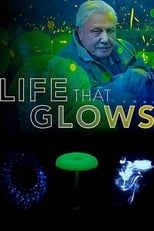 Poster de la película Attenborough's Life That Glows