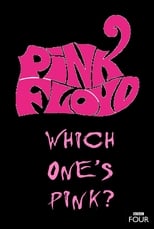 Poster de la película The Pink Floyd Story: Which One's Pink?