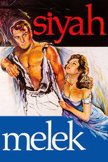Poster de la película Siyah Melek