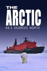 Poster de la película The Arctic: 66.5 Degrees North