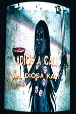 Poster de la película Goodbye to Cali