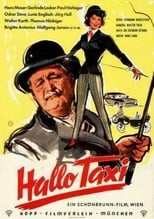 Poster de la película Hello Taxi