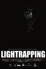 Poster de la película Lightrapping