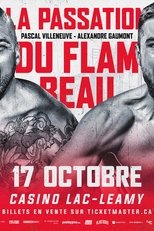 Poster de la película Alexandre Gaumont vs. Andres Viera