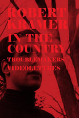 Poster de la película In the Country