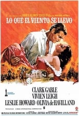 Poster de la película Lo que el viento se llevó