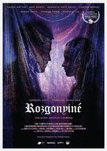 Poster de la película Rozgonyiné