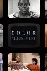 Poster de la película Color Adjustment