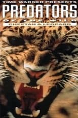 Poster de la película Predators of the Wild: Cheetah and Leopard