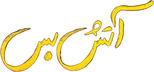 Logo Cease Fire