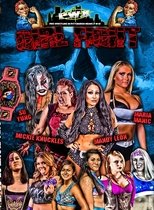 Poster de la película Girl Fight Queens Of Combat