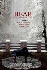 Poster de la película The Bear