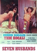 Poster de la película Seven Husbands