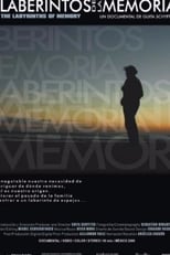 Poster de la película Los laberintos de la memoria