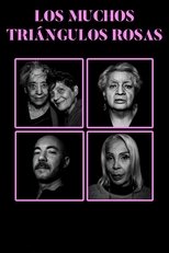 Poster de la película The Many Pink Triangles