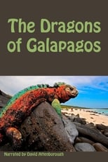 Poster de la película The Dragons of Galapagos