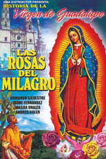 Poster de la película Miracle Roses