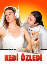 Poster de la película Kedi Özledi