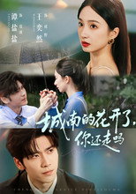 Poster de la serie 城南的花开了，你还走吗