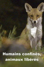 Poster de la película Menschen eingesperrt, Tiere befreit