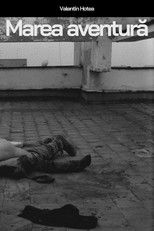 Poster de la película Marea aventură