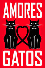 Poster de la película Amores Gatos