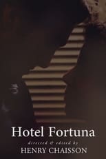 Poster de la película Hotel Fortuna